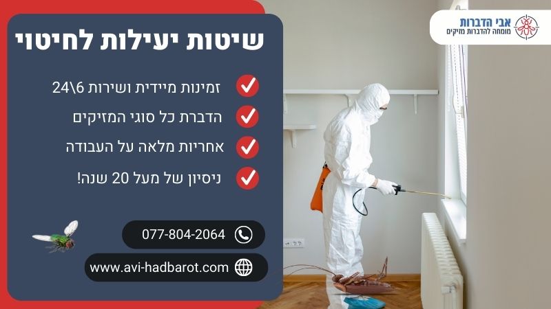 שיטות יעילות לחיטוי