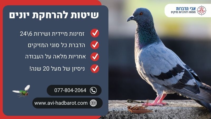 שיטות להרחקת יונים