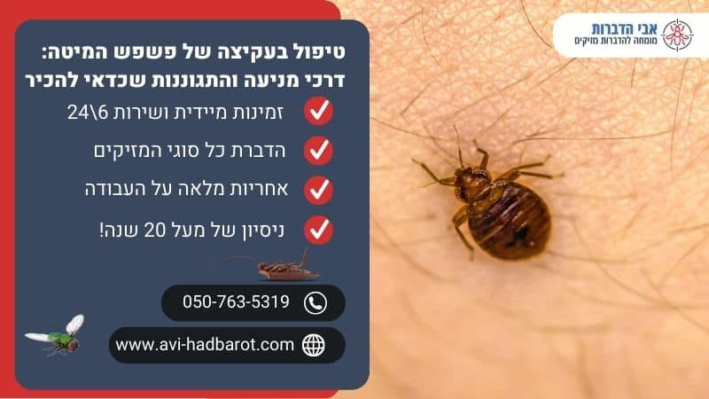 טיפול בעקיצה של פשפש המיטה: דרכי מניעה והתגוננות שכדאי להכיר