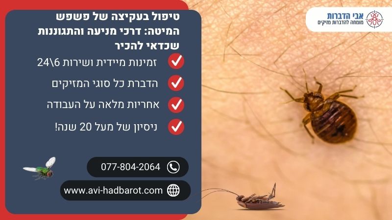 טיפול בעקיצה של פשפש המיטה דרכי מניעה והתגוננות שכדאי להכיר