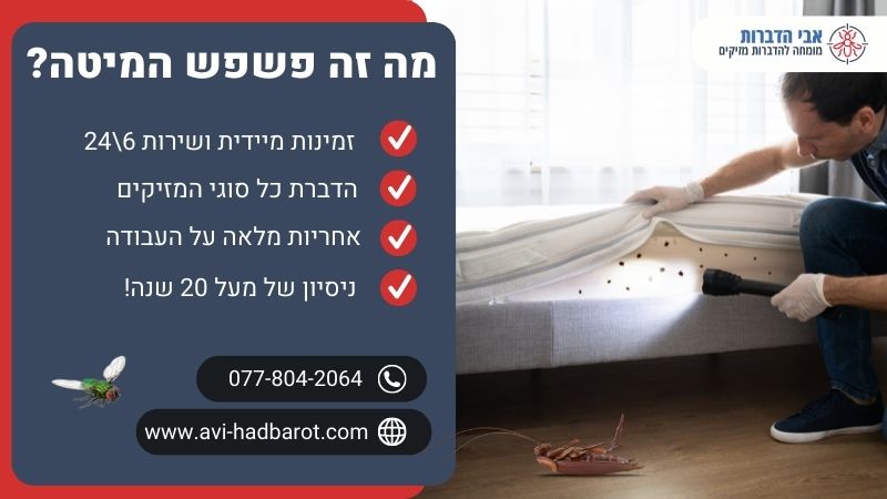 מה זה פשפש המיטה