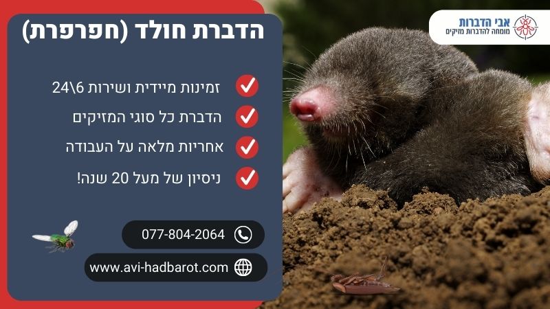 הדברת חולד (חפרפרת)