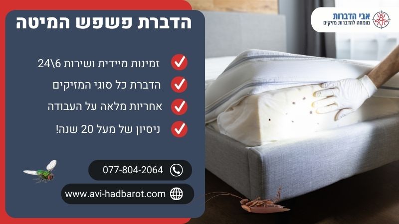 הדברת פשפש המיטה
