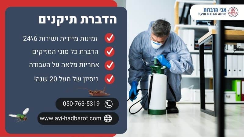 הדברת תיקנים