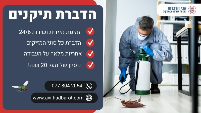 הדברת תיקנים