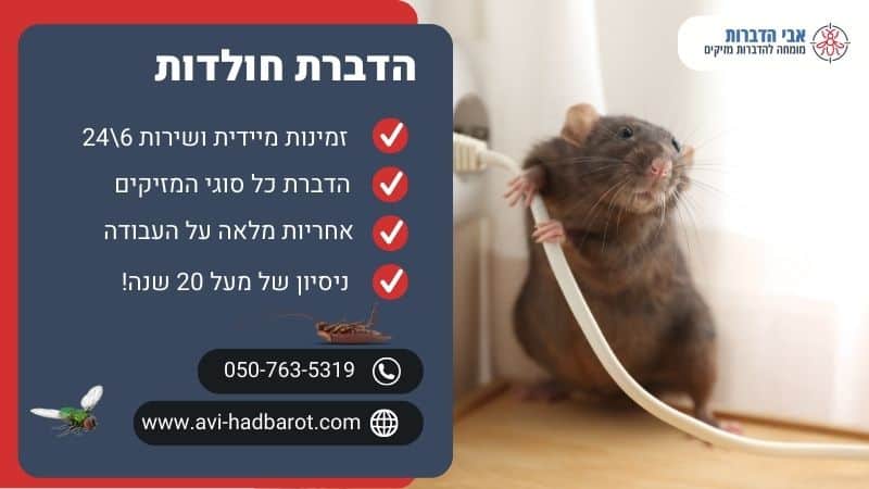 הדברת חולדות