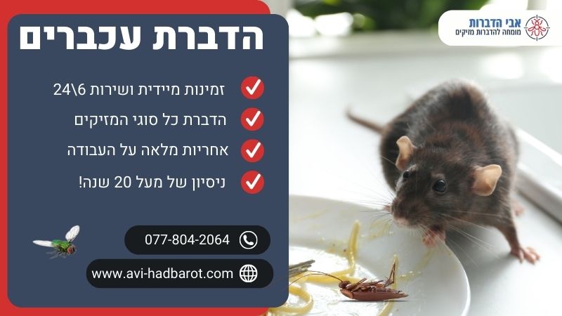 הדברת עכברים