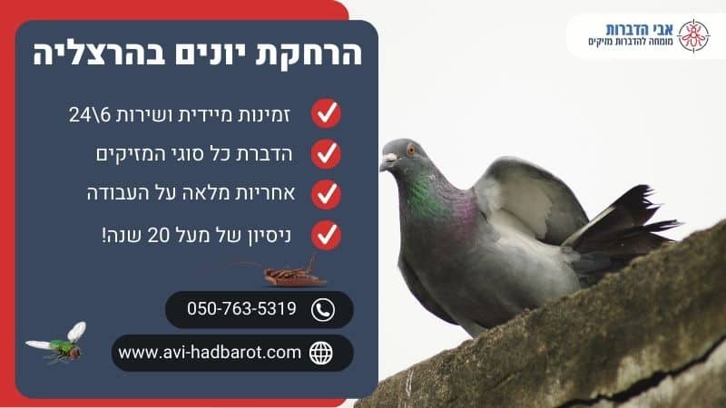 הרחקת יונים בהרצליה