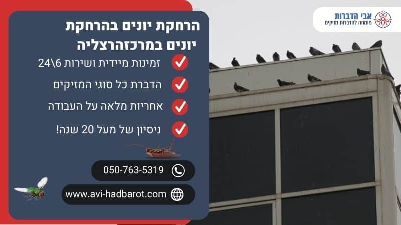 הרחקת יונים במרכז