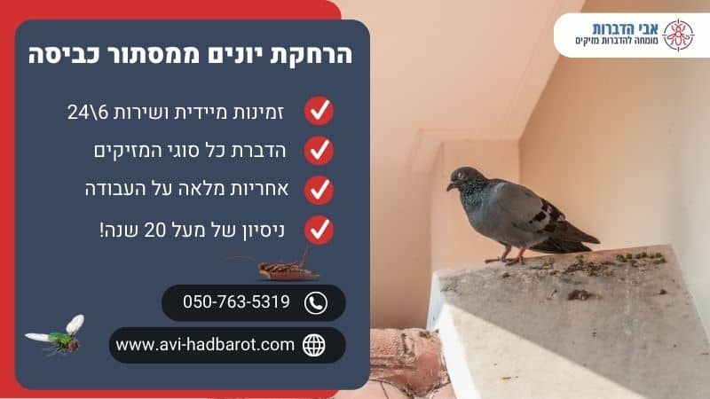 הרחקת יונים ממסתור כביסה