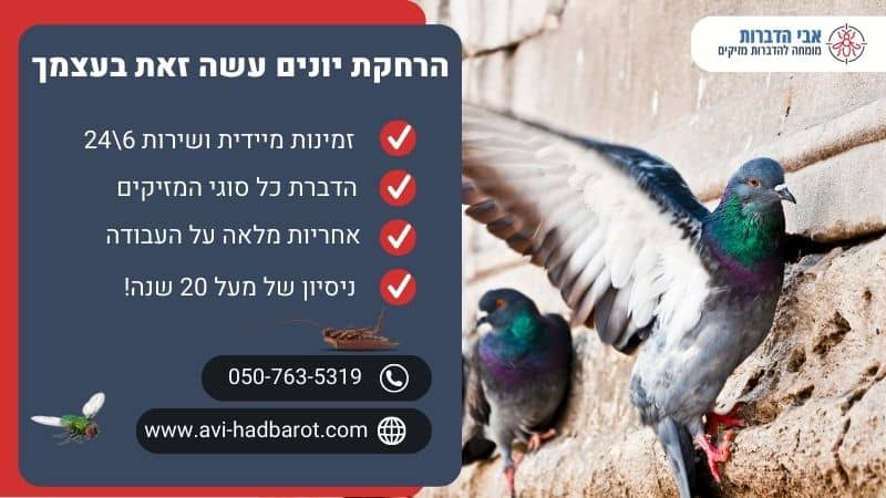 הרחקת יונים עשה זאת בעצמך