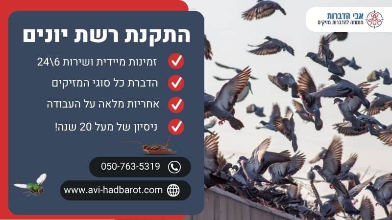 התקנת רשת יונים
