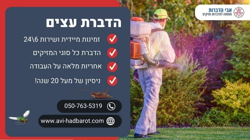 הדברת עצים