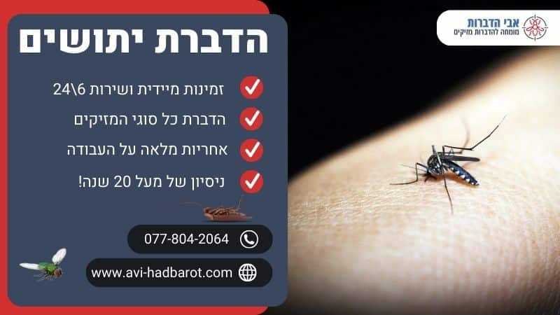 הדברת יתושים