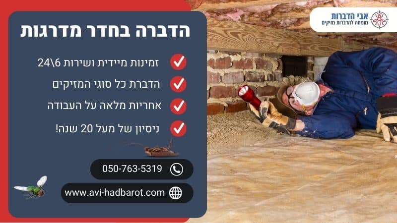 הדברה בחדר מדרגות
