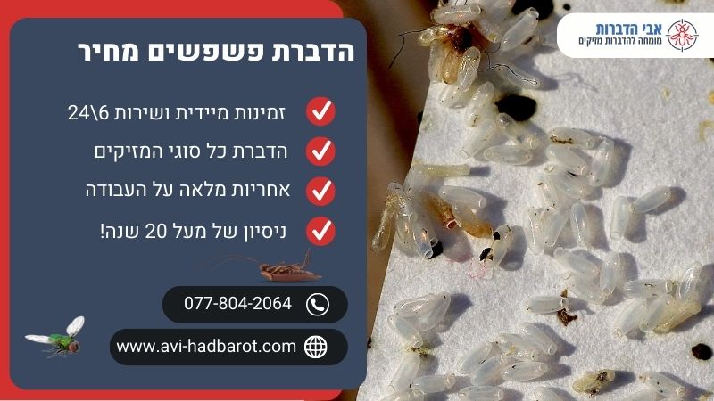 הדברת פשפשים מחיר
