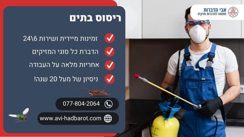 ריסוס בתים