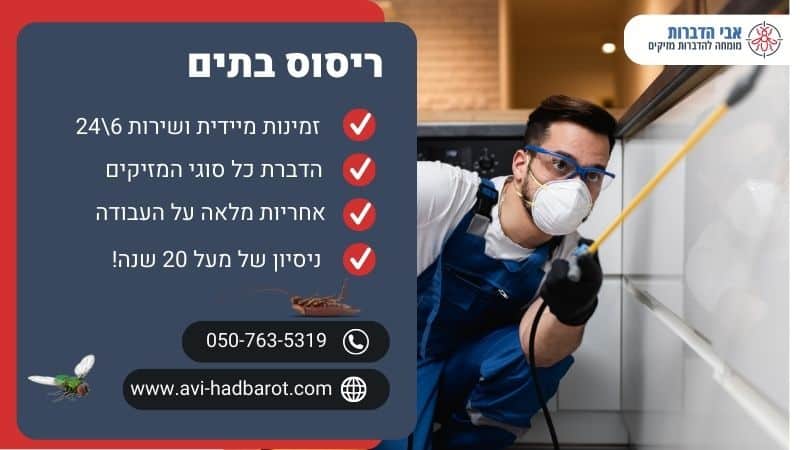 ריסוס בתים