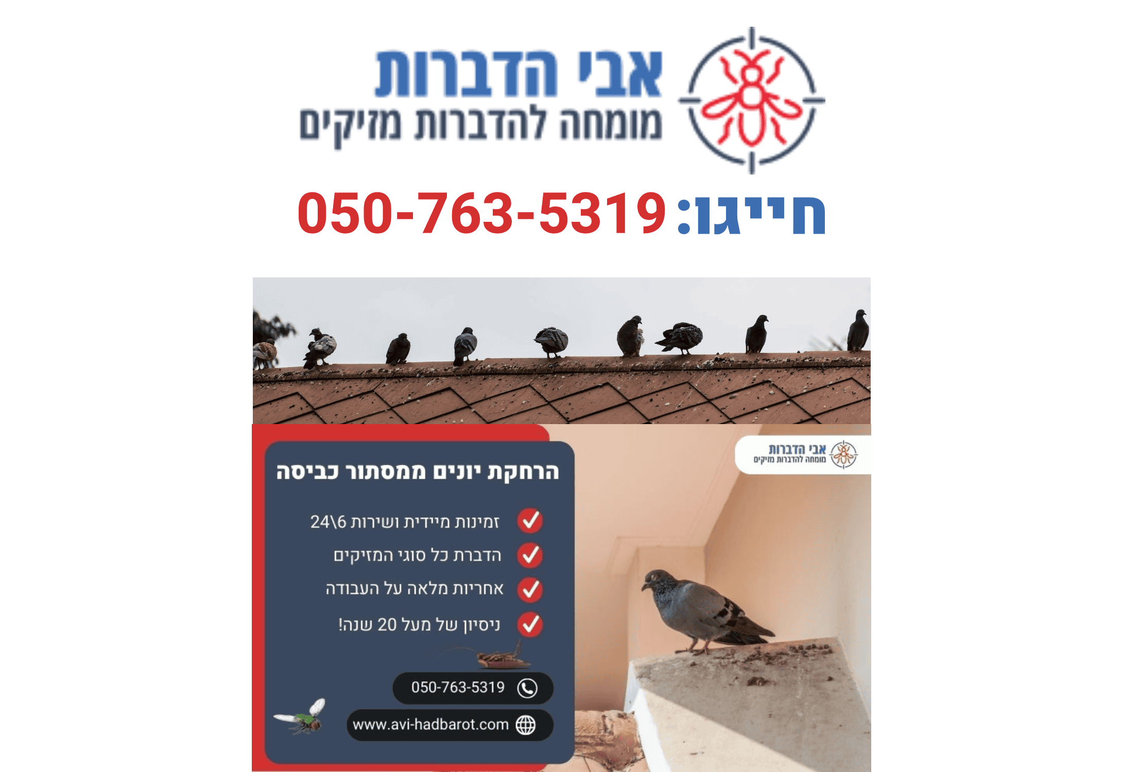 אבי הדברות הרחקת יונים מקצועית