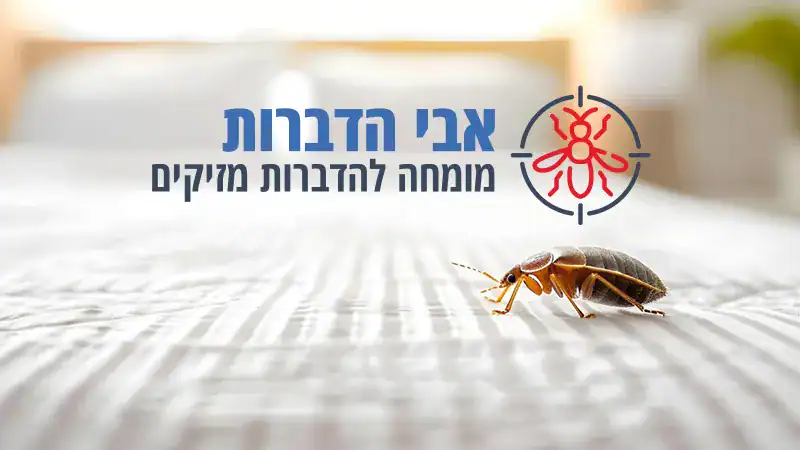 מזרון נגוע בפשפשים
