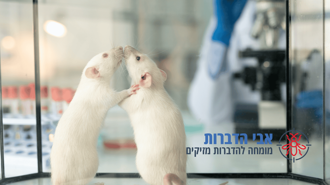 לוכד עכברים